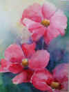 Delightfully Pink 2.JPG (47067 bytes)